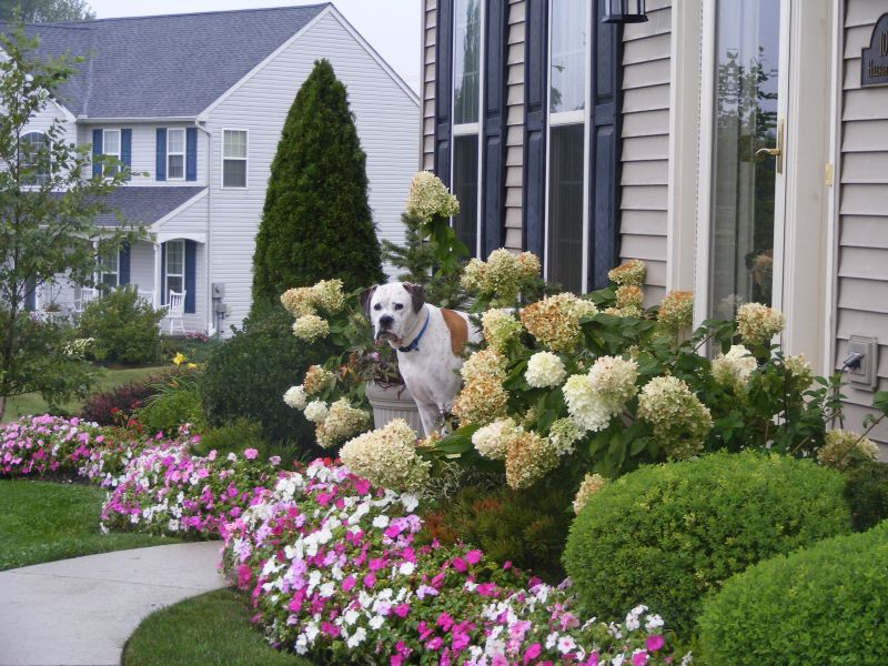 Anchor Points for Front Yard Landscaping