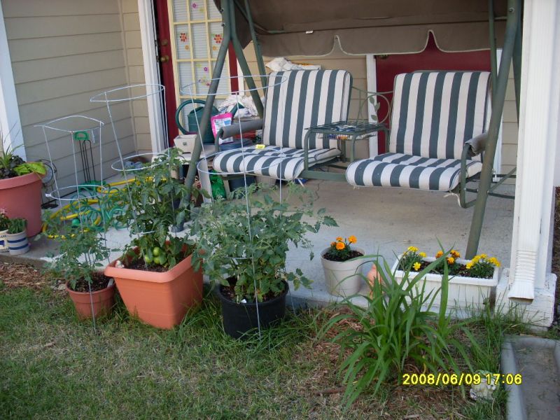 Landscaping Ideas & Garden Ideas > Container Gardening: Not Just ...