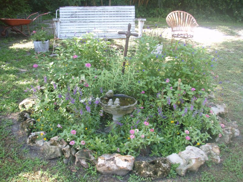 Butterfly Garden Ideas