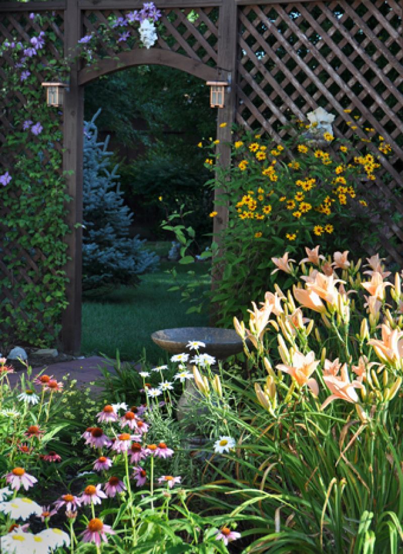 Coneflower is a water-wise plant