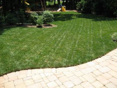 yard image