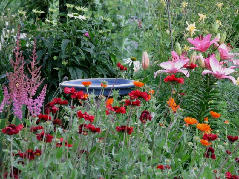 Landscaping Ideas & Garden Ideas > The Fragrant Garden: Sensuous ...