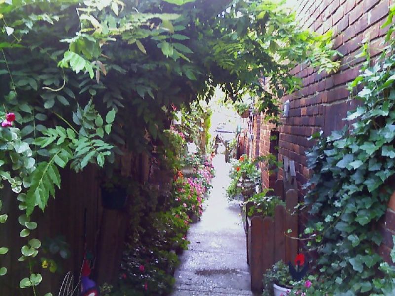 Wall Gardening