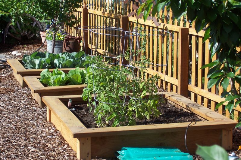 Garden in Raised Planter Beds