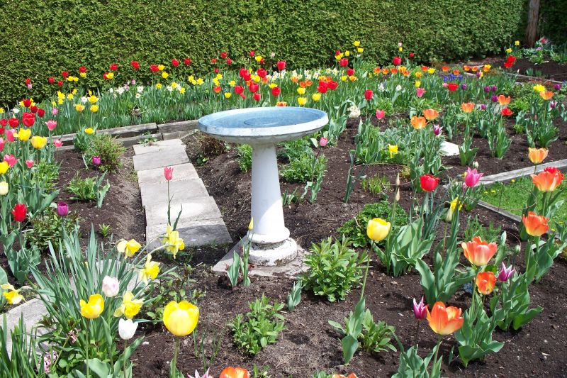 New Spring Garden Ideas Photograph Designing And Creat