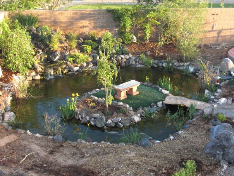 Zen Garden Koi Pond