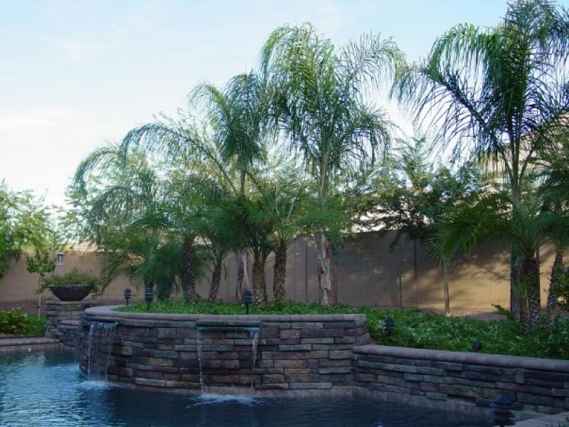 Pool Area Landscape During the Day