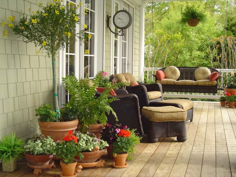 Potted Plants on the front porch