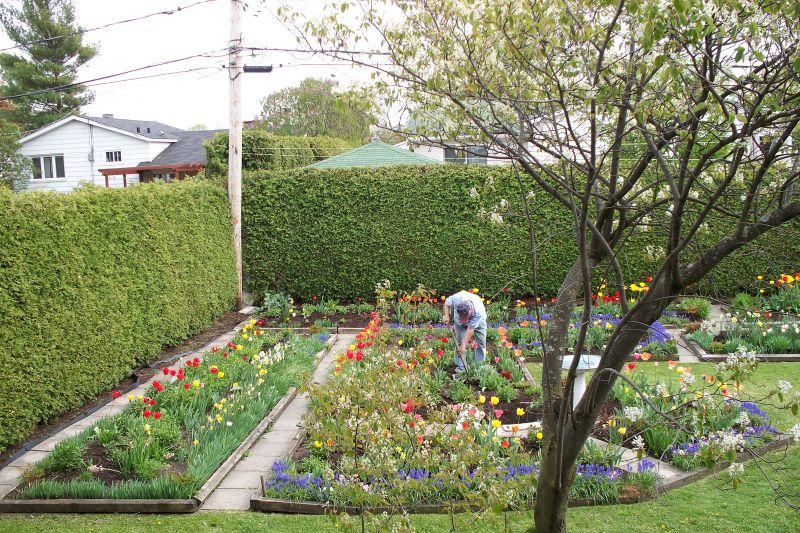 Creating Privacy In Your Yard Yard Ideas Blog Yardshare Com