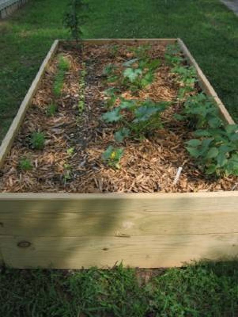 Front Yard Garden Dirt