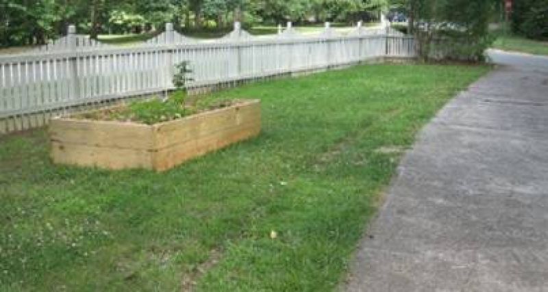 Front yard garden