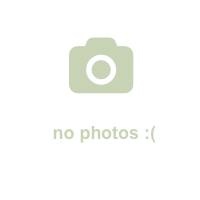 Kentfield park-like garden