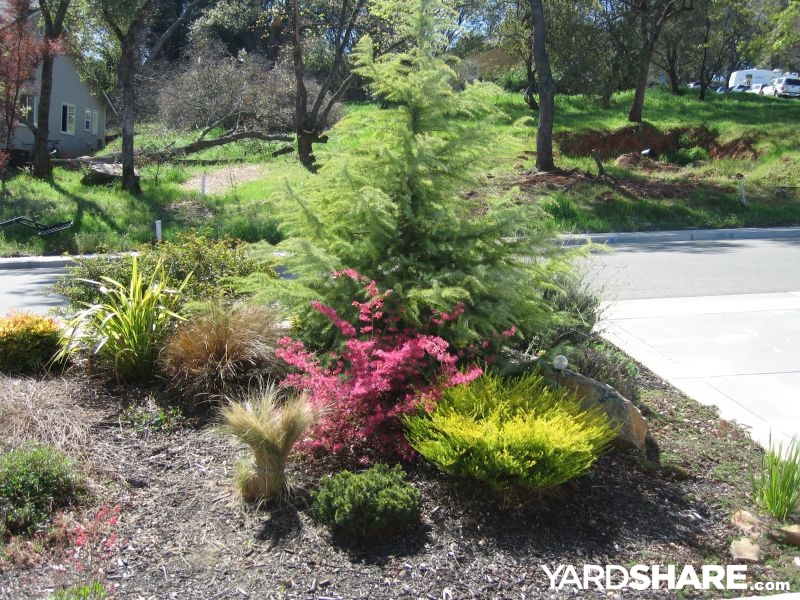 Spring in the California Foothills on YardShare