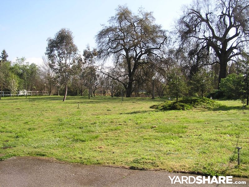 Sports Area family yard