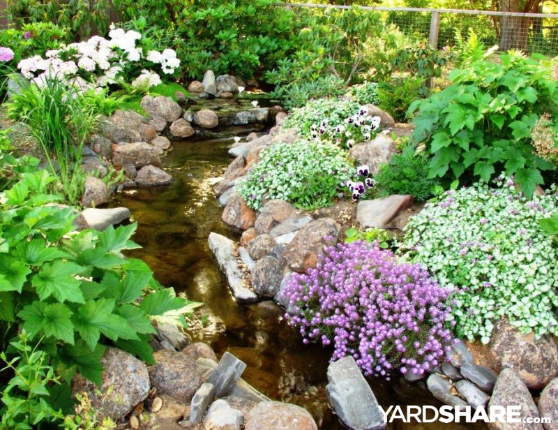 Backyard Stream pond design