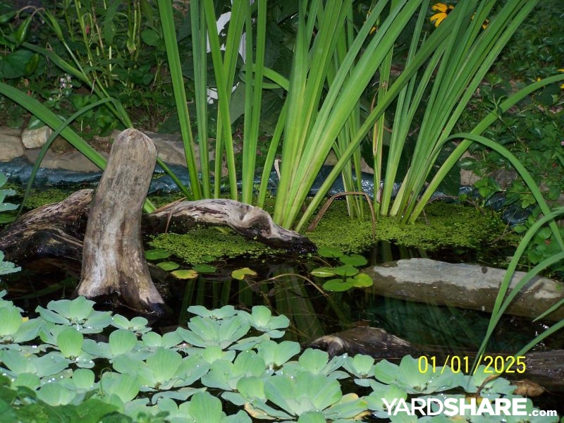 The Woods People pond edge rock landscaping
