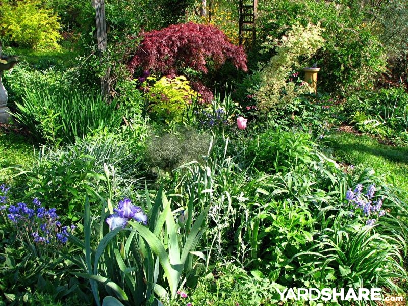 Cottage garden side path planting