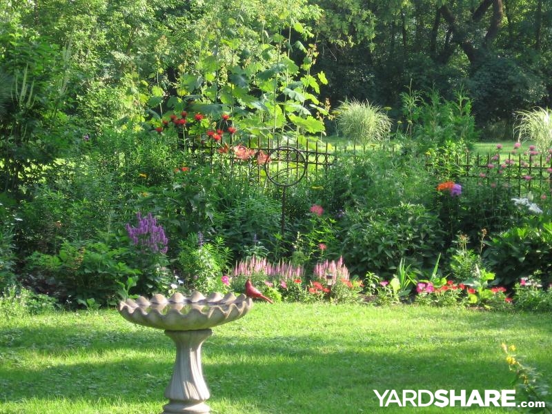 backyard flowers YardShare example