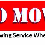 Metro Mow N GO