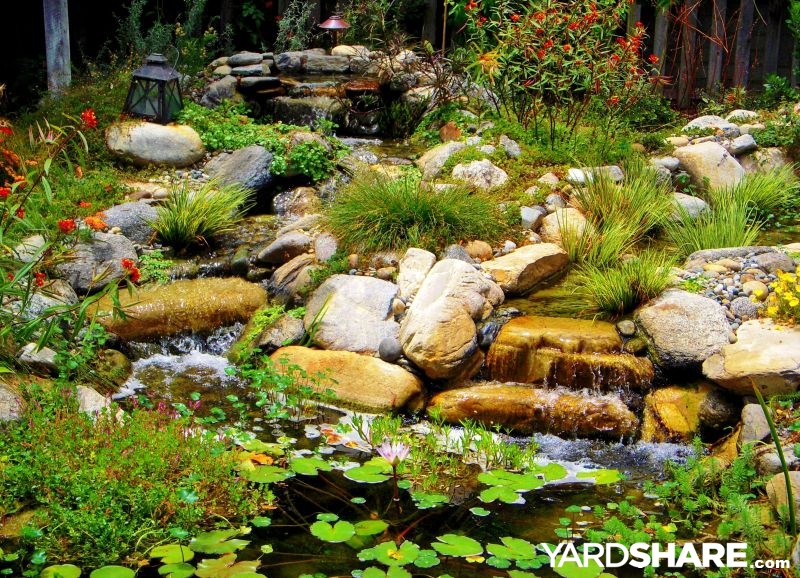 Landscape lighting and evening drama in a real YardShare garden