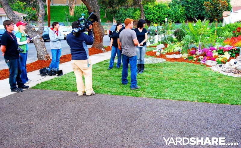 Low-voltage lighting and water-feature context from a YardShare garden