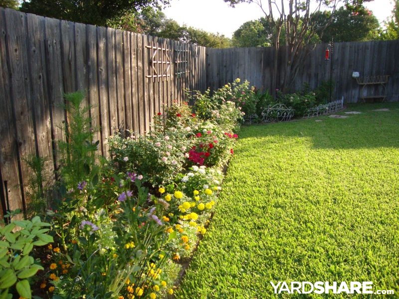 Roses and flowers YardShare example