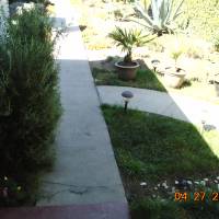 Photo Thumbnail #22